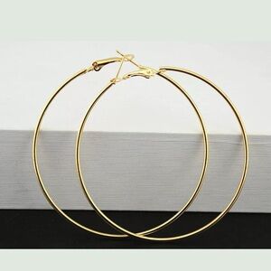 Elegant Gold Hoop Earrings